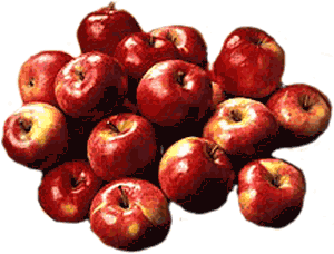 Frugt æbler