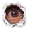 Øje1